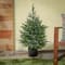 3ft. Pre-Lit Cypress Artificial Christmas Tree, Multi-Function LED Lights
